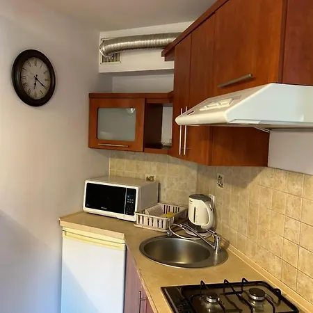 Apartament Nad Grajcarkiem Pieniny Szczawnica Zewnętrze zdjęcie